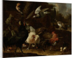 Birds in a Park by Melchior d' Hondecoeter