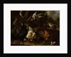 Birds in a Park by Melchior d' Hondecoeter