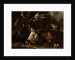Birds in a Park by Melchior d' Hondecoeter