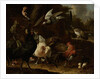 Birds in a Park by Melchior d' Hondecoeter