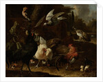 Birds in a Park by Melchior d' Hondecoeter