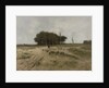On the Heath near Laren, The Netherlands by Anton Mauve