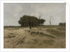 On the Heath near Laren, The Netherlands by Anton Mauve