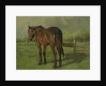 Horse by Anton Mauve