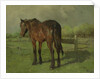 Horse by Anton Mauve