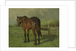 Horse by Anton Mauve