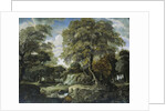 Woodland Scene by Jan van der Heyden