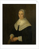 Portrait of a Woman by Hendrick Cornelisz. van Vliet