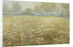 Meadow in Bloom by Egbert Rubertus Derk Schaap