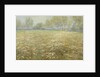 Meadow in Bloom by Egbert Rubertus Derk Schaap