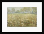 Meadow in Bloom by Egbert Rubertus Derk Schaap