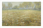 Meadow in Bloom by Egbert Rubertus Derk Schaap