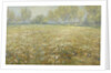 Meadow in Bloom by Egbert Rubertus Derk Schaap