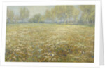 Meadow in Bloom by Egbert Rubertus Derk Schaap