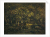 The Forest of Fontainebleau France by Narcisse Virgile Diaz de la Peña