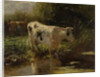 Cow beside a Ditch by Willem Maris
