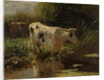 Cow beside a Ditch by Willem Maris