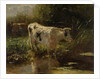 Cow beside a Ditch by Willem Maris