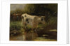 Cow beside a Ditch by Willem Maris