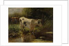 Cow beside a Ditch by Willem Maris