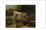 Cow beside a Ditch by Willem Maris