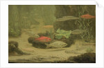 Gold and silver fish in an aquarium by Gerrit Willem Dijsselhof