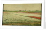 Tulip Fields by Gerrit Willem Dijsselhof