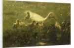 White duck with chicks by Willem Maris