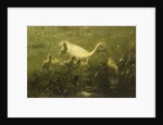 White duck with chicks by Willem Maris