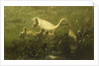 White duck with chicks by Willem Maris