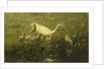 White duck with chicks by Willem Maris