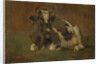 Lying Cow by Anton Mauve