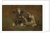 Lying Cow by Anton Mauve