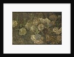 Flowers by Claude Monet