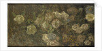 Flowers by Claude Monet