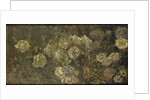Flowers by Claude Monet
