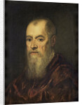 Portrait of a Man with a Red Cloak by Jacopo Tintoretto