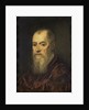 Portrait of a Man with a Red Cloak by Jacopo Tintoretto
