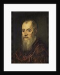 Portrait of a Man with a Red Cloak by Jacopo Tintoretto
