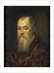 Portrait of a Man with a Red Cloak by Jacopo Tintoretto