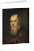 Portrait of a Man with a Red Cloak by Jacopo Tintoretto