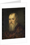 Portrait of a Man with a Red Cloak by Jacopo Tintoretto