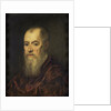Portrait of a Man with a Red Cloak by Jacopo Tintoretto