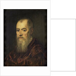 Portrait of a Man with a Red Cloak by Jacopo Tintoretto