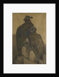 Two vultures by Theo van Hoytema