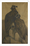 Two vultures by Theo van Hoytema