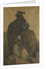Two vultures by Theo van Hoytema