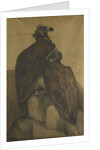Two vultures by Theo van Hoytema