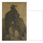 Two vultures by Theo van Hoytema