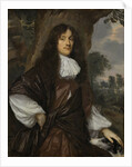 Portrait of Jacob de Witte, Lord of Haamstede by Jan Mijtens